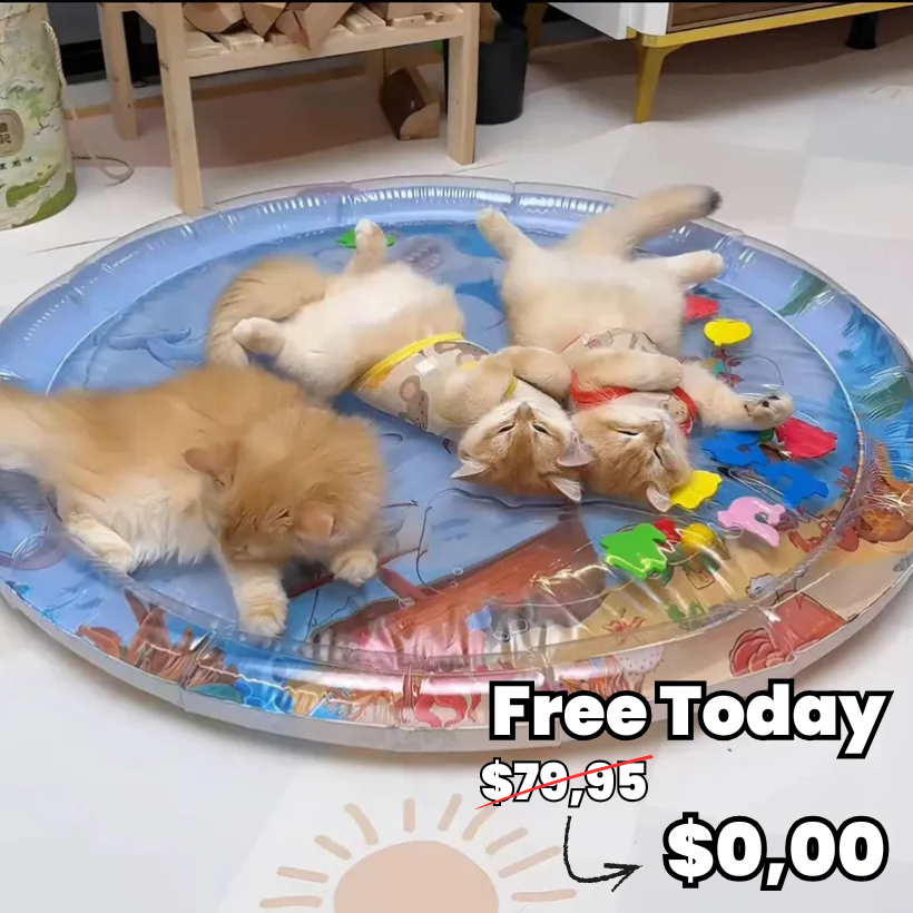 AquaPlay Cat Mat [Free Today]