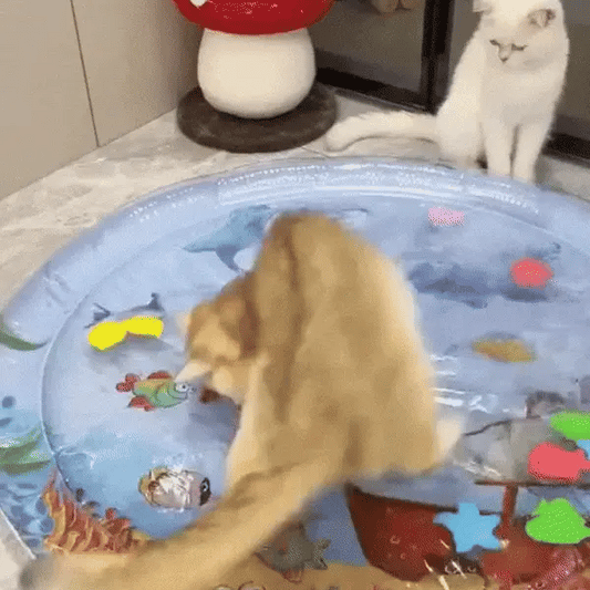 AquaPlay Cat Mat [Free Today]